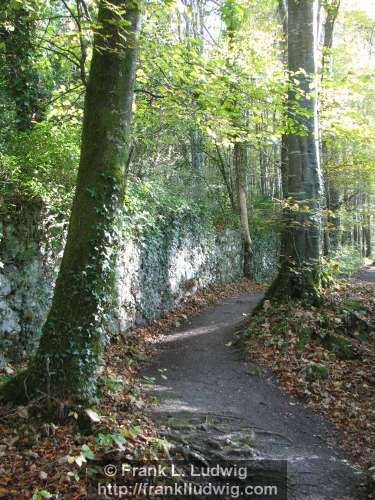 Coole Park, County Galway